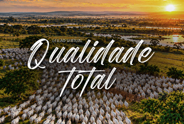 LEILÃO VIRTUAL QUALIDADE TOTAL